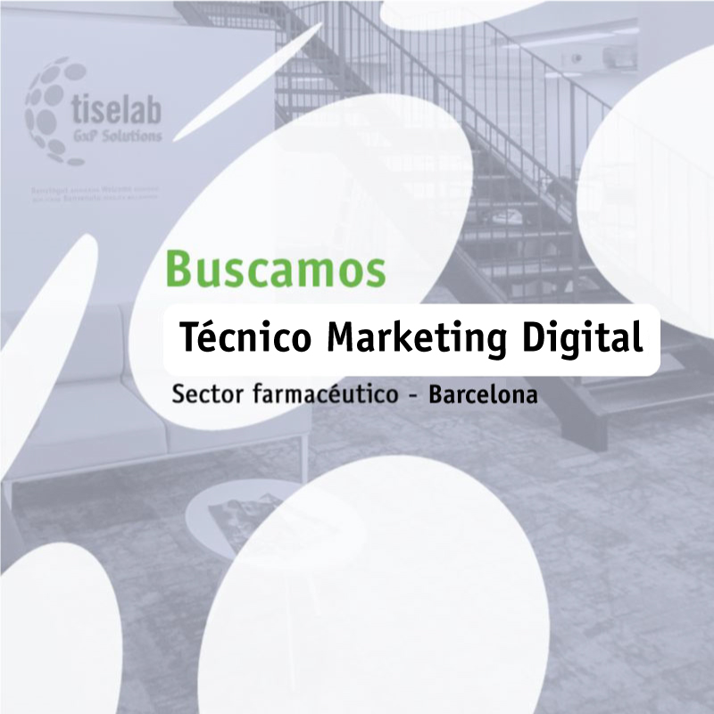 Tecnico Marketing Digital
